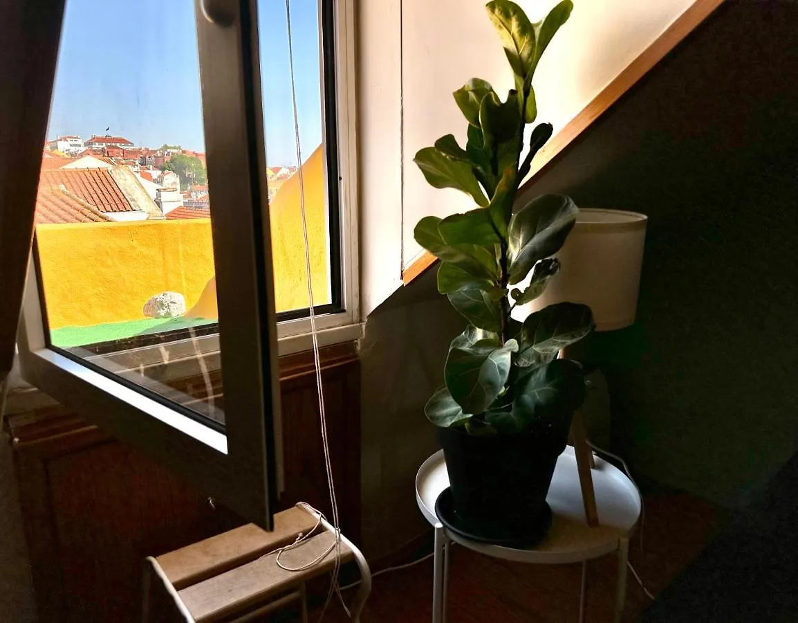 Parliament Ficus Studio Лиссабон